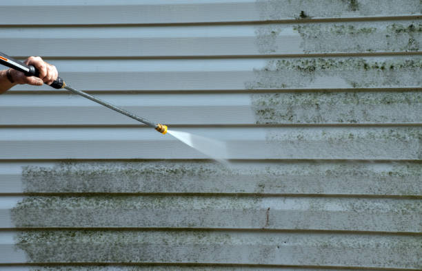 Best Fence Cleaning  in Ninnekah, OK